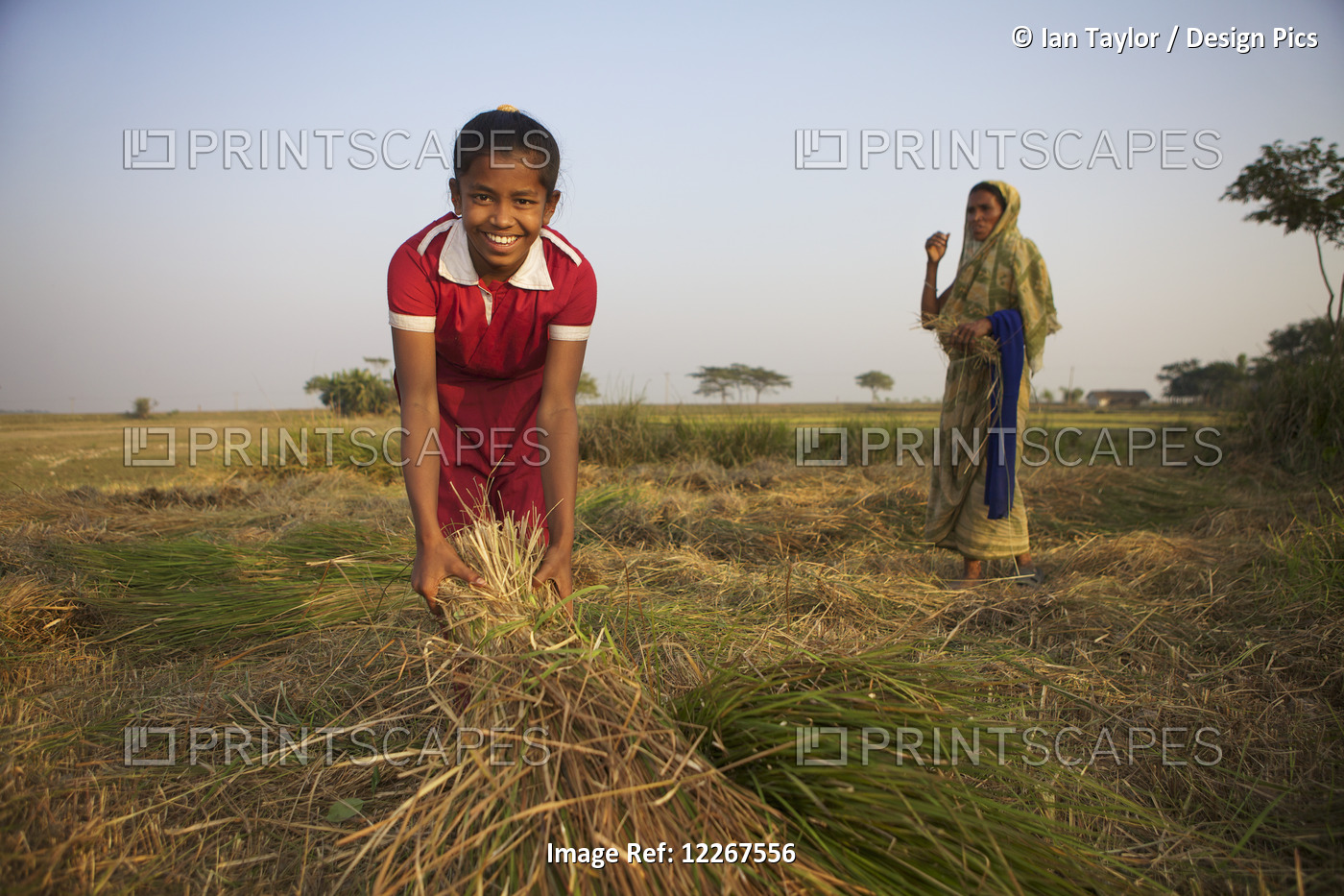 Young Boy Helping On The Farm; Sunamganj, Bangladesh
