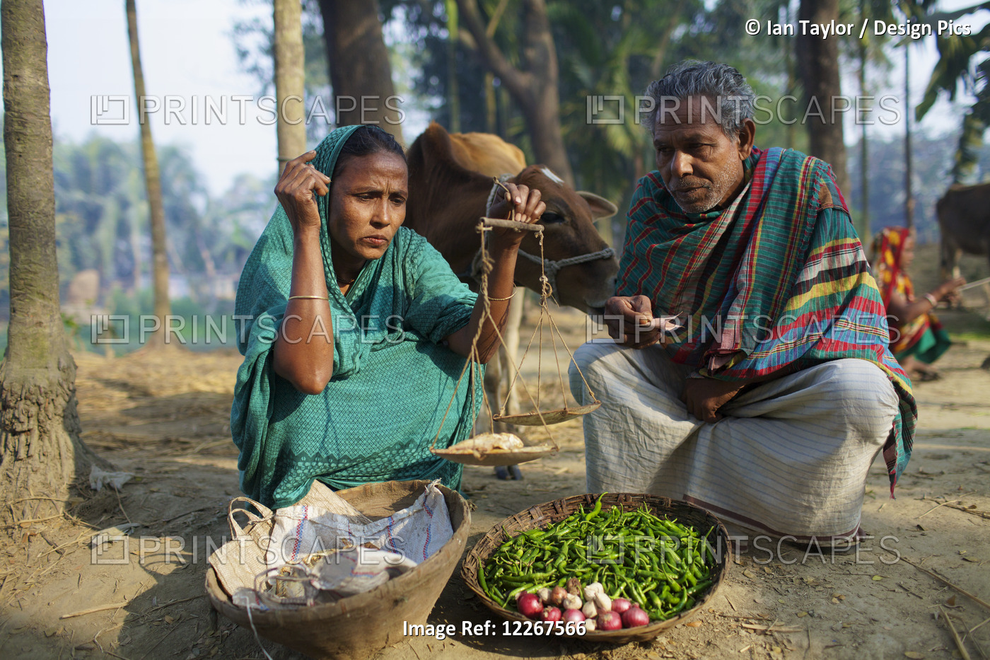 Couple Selling Vegetables; Kishoreganj, Bangladesh
