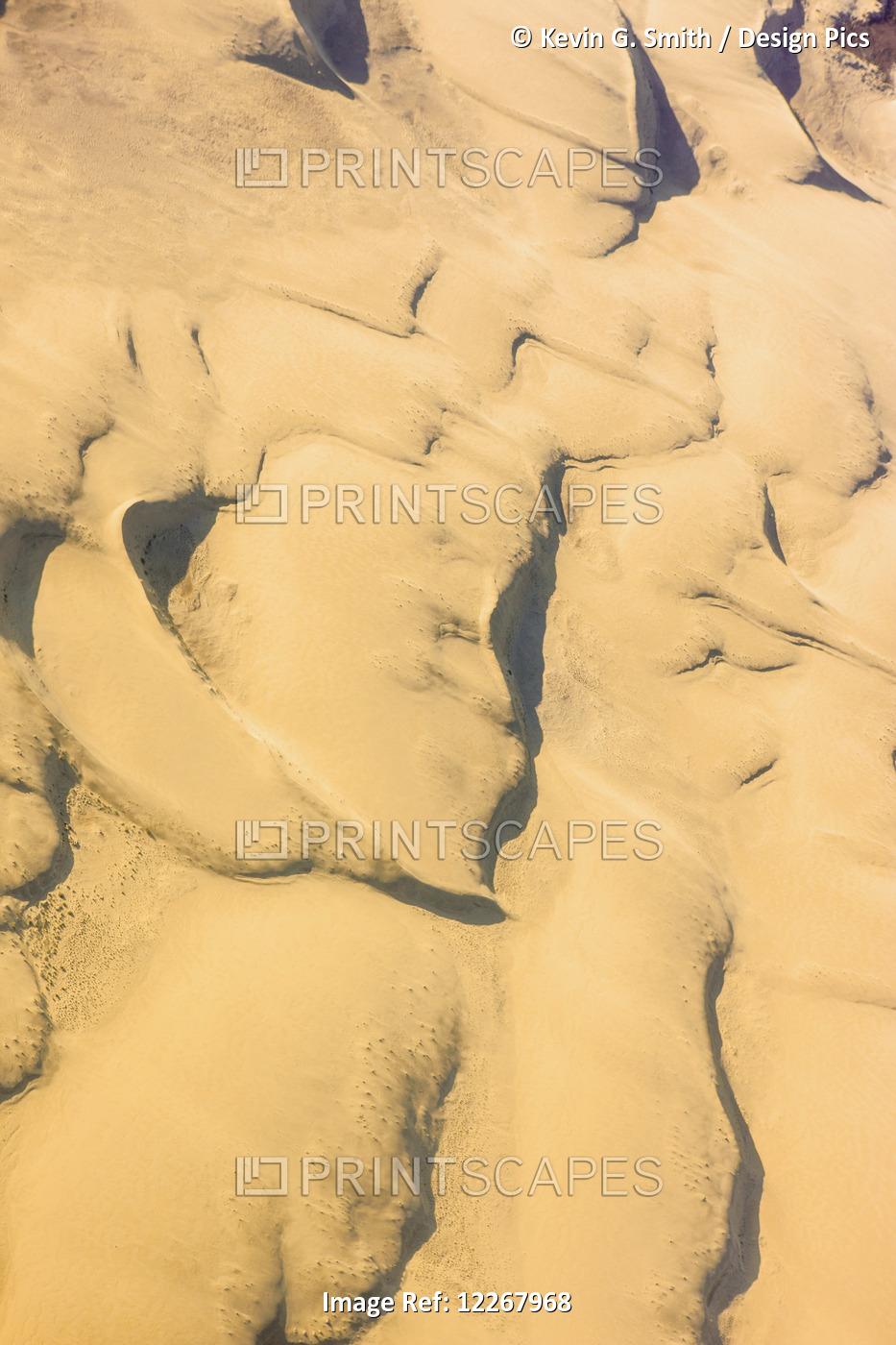 Aerial View Of The Great Kobuk Sand Dunes, Arctic Alaska, Summer