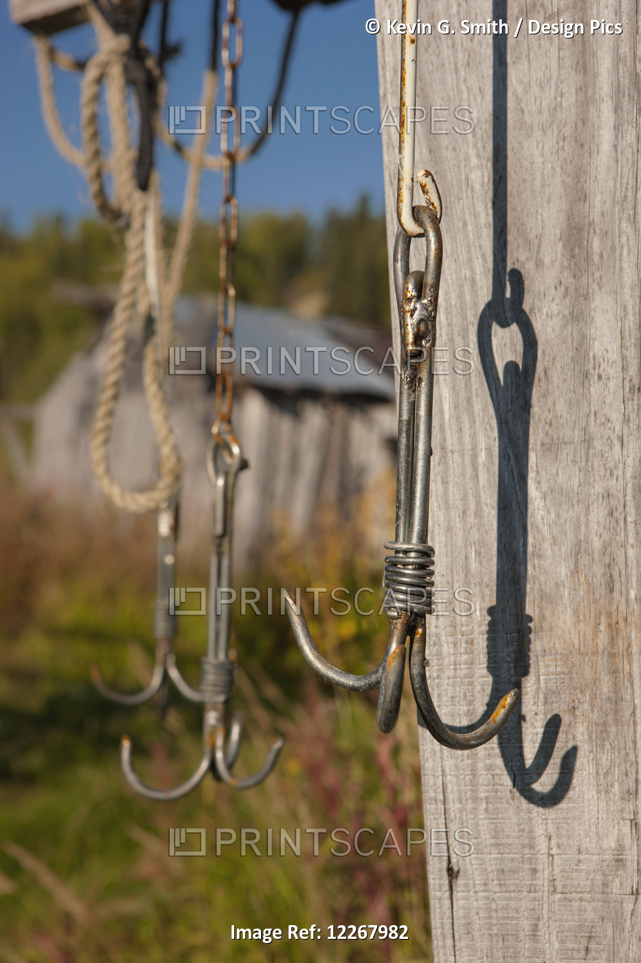 Close Up Of Fishing Hooks Hanging From A Drying Shet, Shungnak, Arctic Alaska, ...