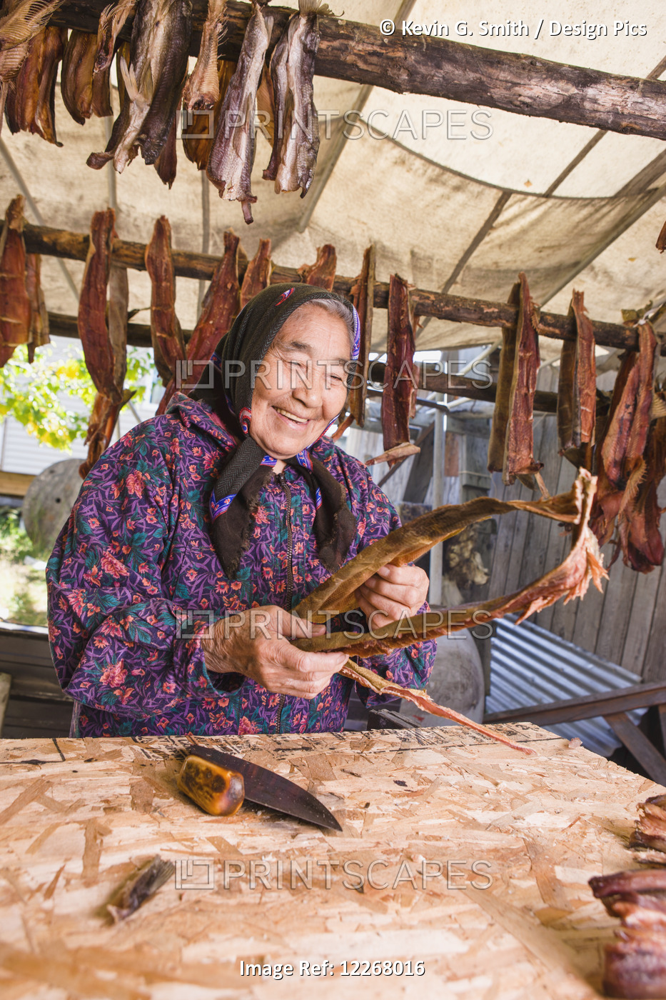 Alaska Native Woman Stands At A Table Cutting Whitefish With An Ulu, Kobuk Fish ...