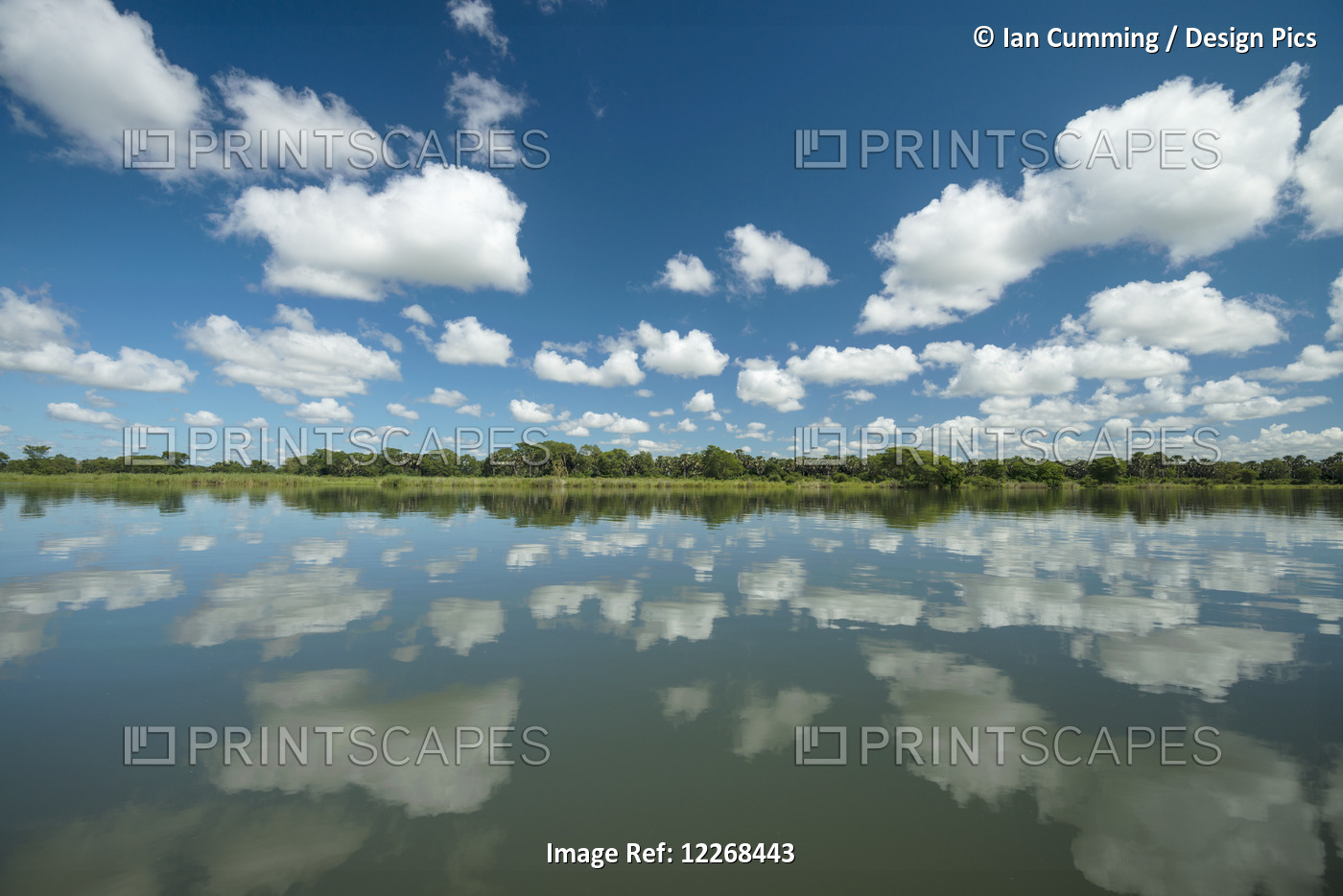 Reflections Across The Calm Waters Of The Shire River, Liwonde National Park; ...