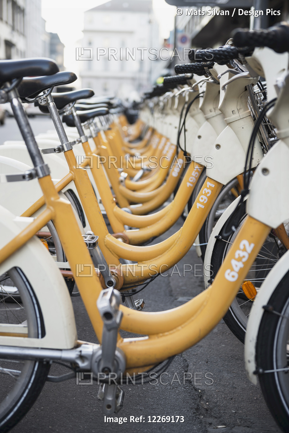 Yellow And White Bicycles Parked In A Row; Milan, Lombardy, Italy