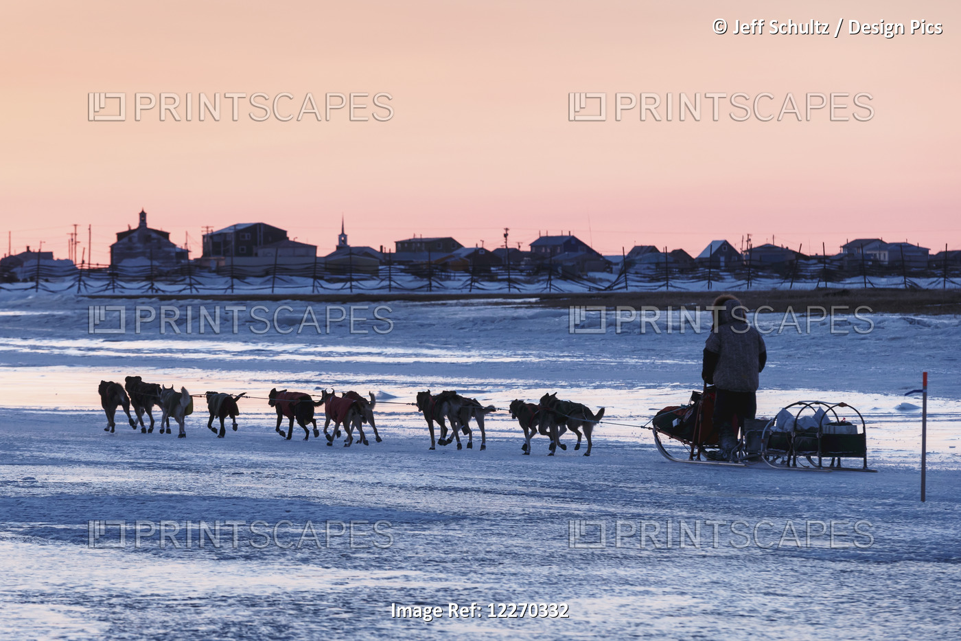 Jeff King Runs On The Slough Ice Just After Sunset With Unalakleet In The ...