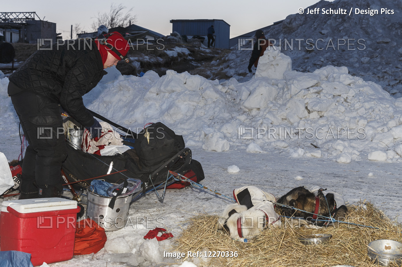 Aliy Zirkle Packs Her Sled Before Leaving Unalakleet During The Iditarod Sled ...