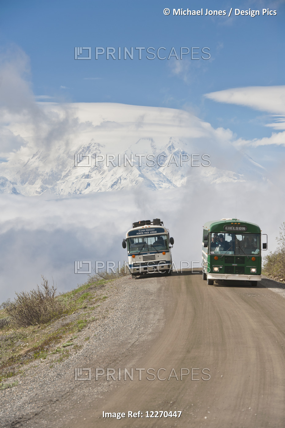 Two Tour Buses Pass Each Other On The Park Road In Denali National Park With ...