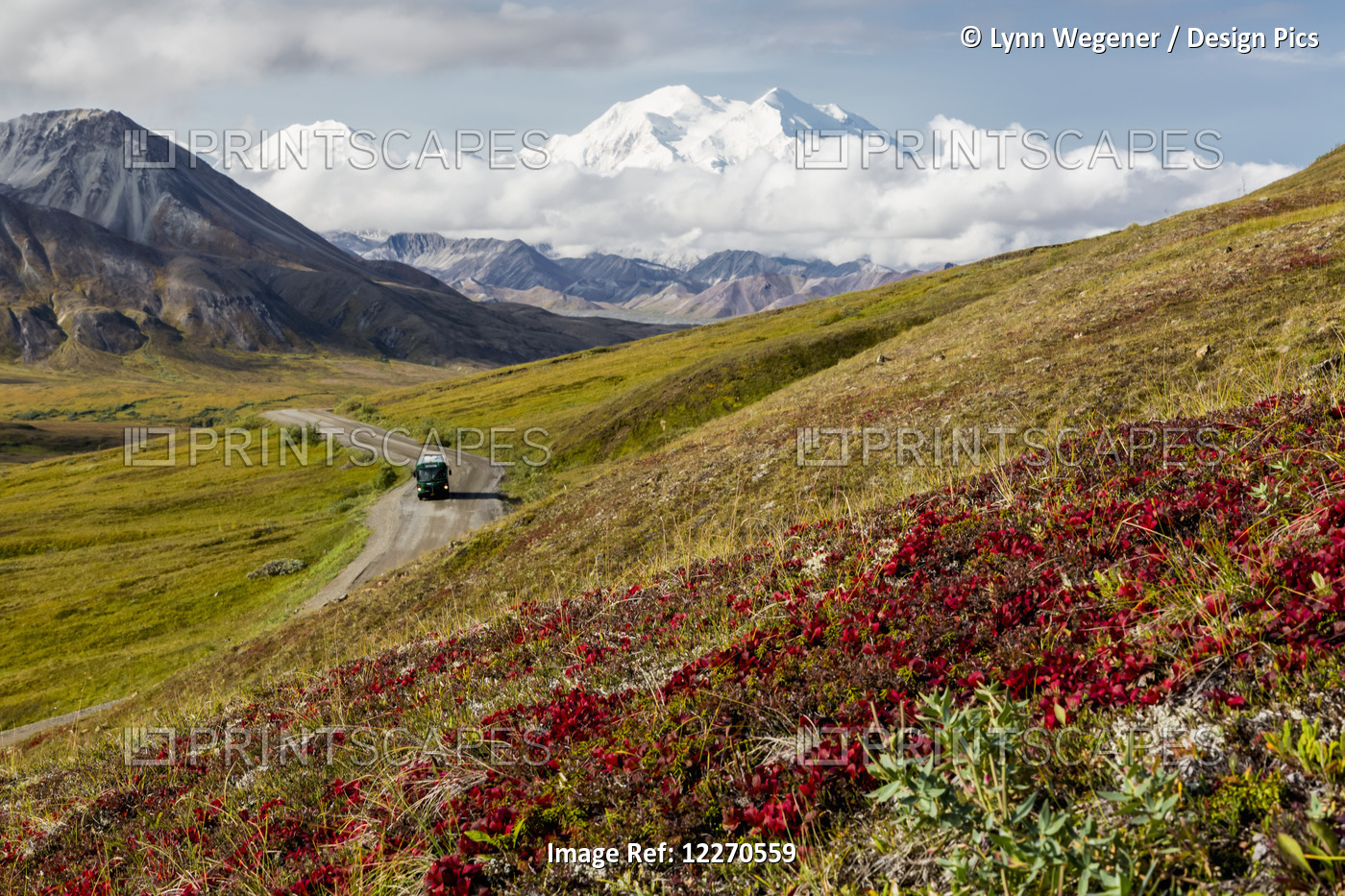 Scenic View Of Mt. Mckinley With A Park Shuttle Bus And Red Fall Colors In The ...