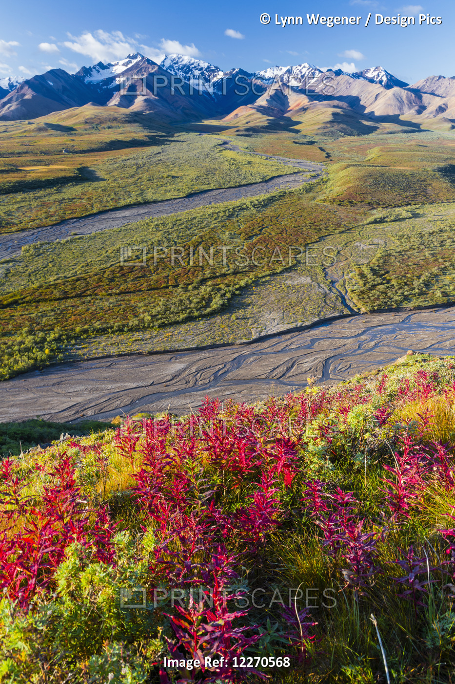 Scenic View Of Polychrome Pass With Colorful Fall Colors In The Foreground In ...