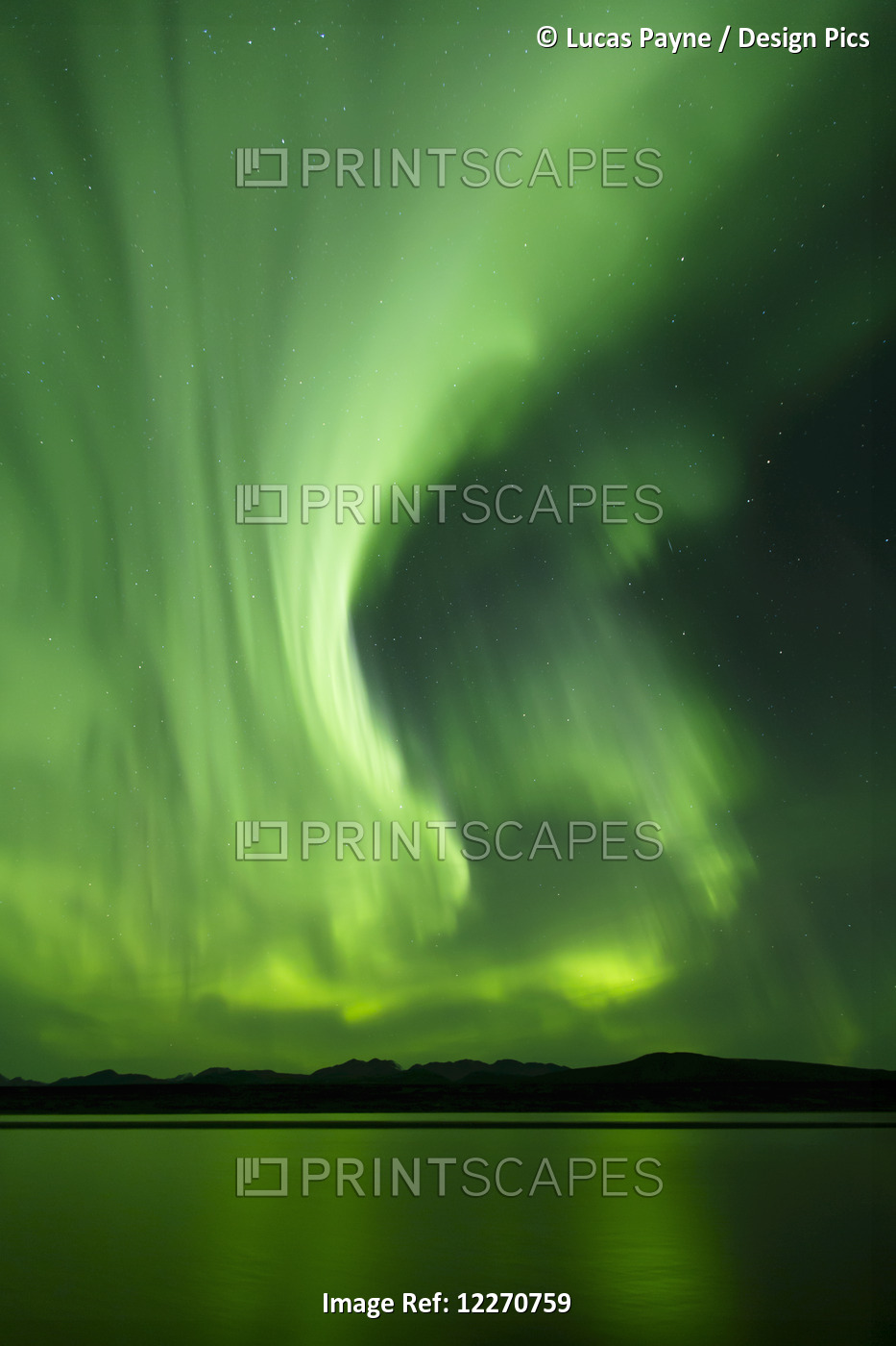 Aurora Borealis (Northern Lights) Reflected In 50 Mile Lake Along The Denali ...