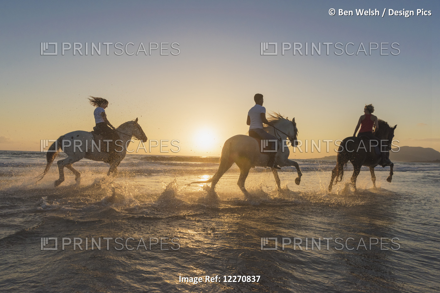 Horseback Riding In The Shallow Water At Sunset; Tarifa, Cadiz, Andalusia, Spain