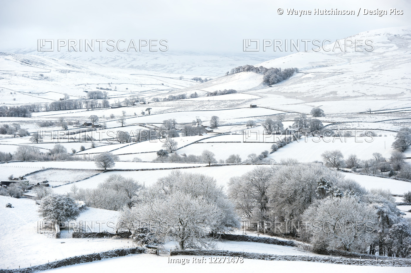 Peaceful Snow Scene In The Howgills, Near Ravenstonedale; Cumbria, England