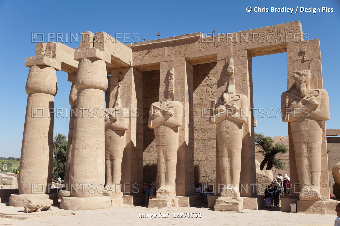Osiris Pillars In 2nd Court, Ramesseum Funerary Temple, West Bank; Luxor, Egypt