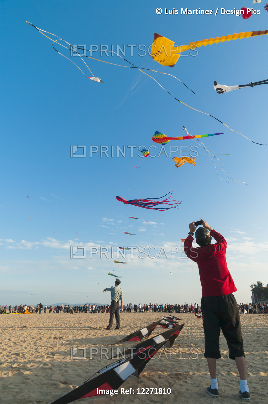 International Kite Festival, A Spectacular Kite Exhibition With Participants ...