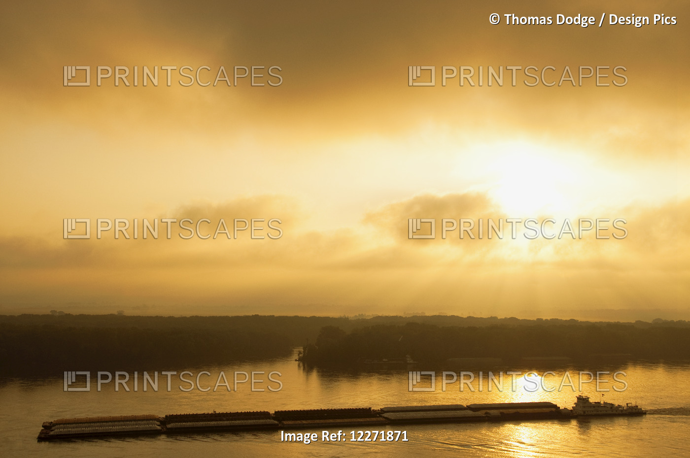 Grain Barge Navigating The Mississippi River In Early Morning Light, Near ...