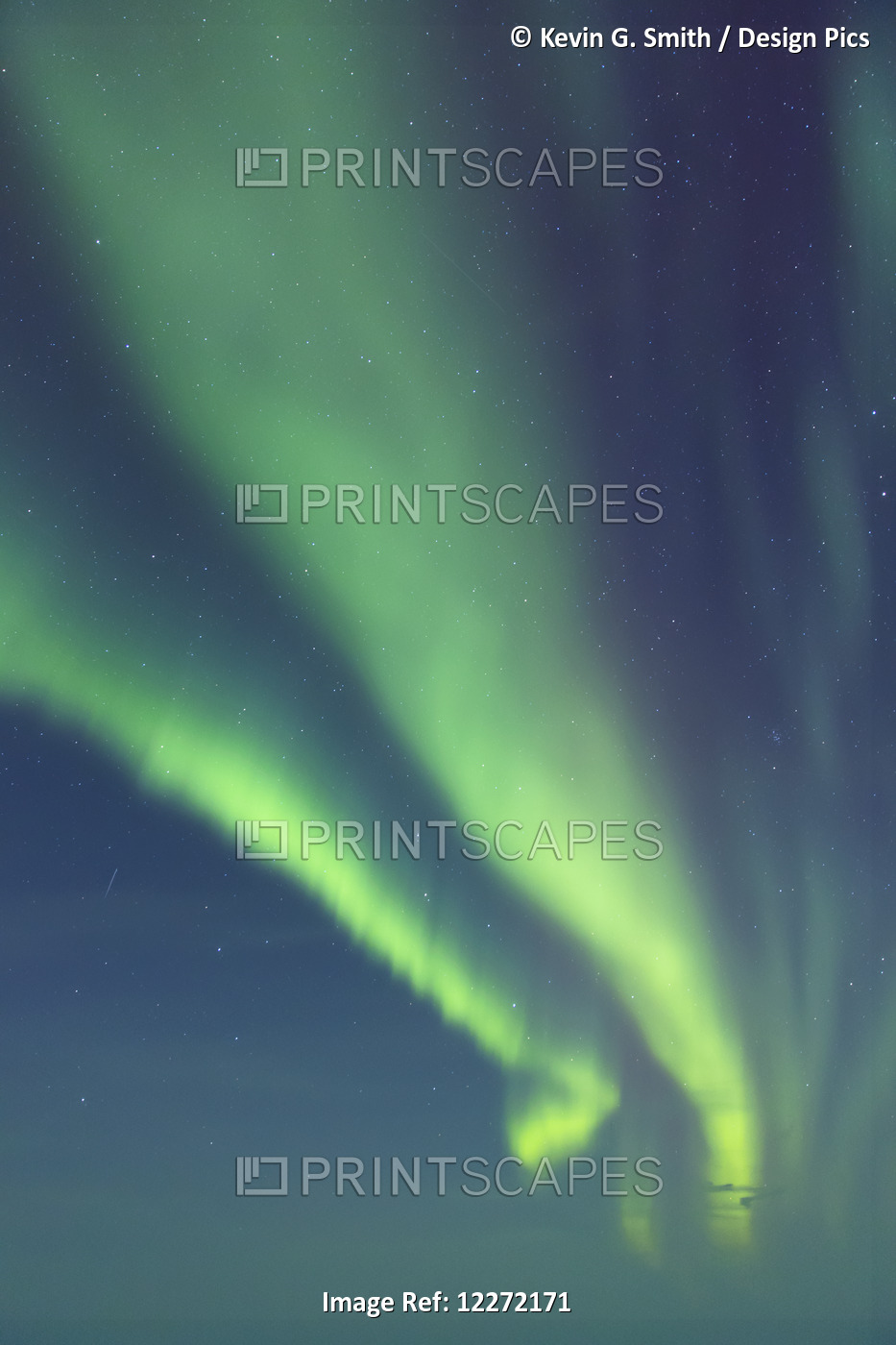 Northern Lights Dance In Clear Skies Above Barrow, Arctic Alaska; Alaska, ...