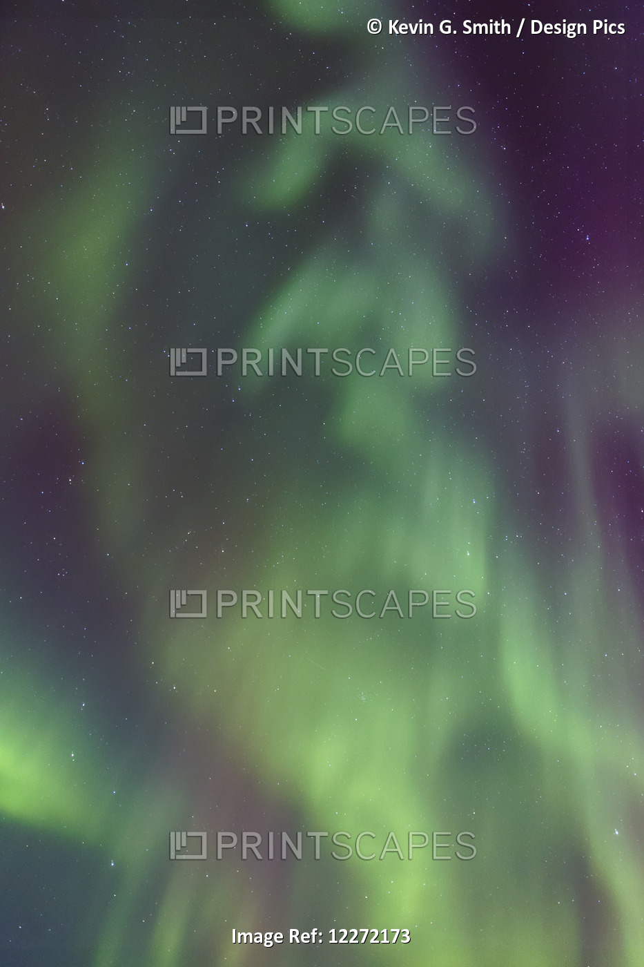 Northern Lights Dance In Clear Skies Above Barrow, Arctic Alaska; Alaska, ...
