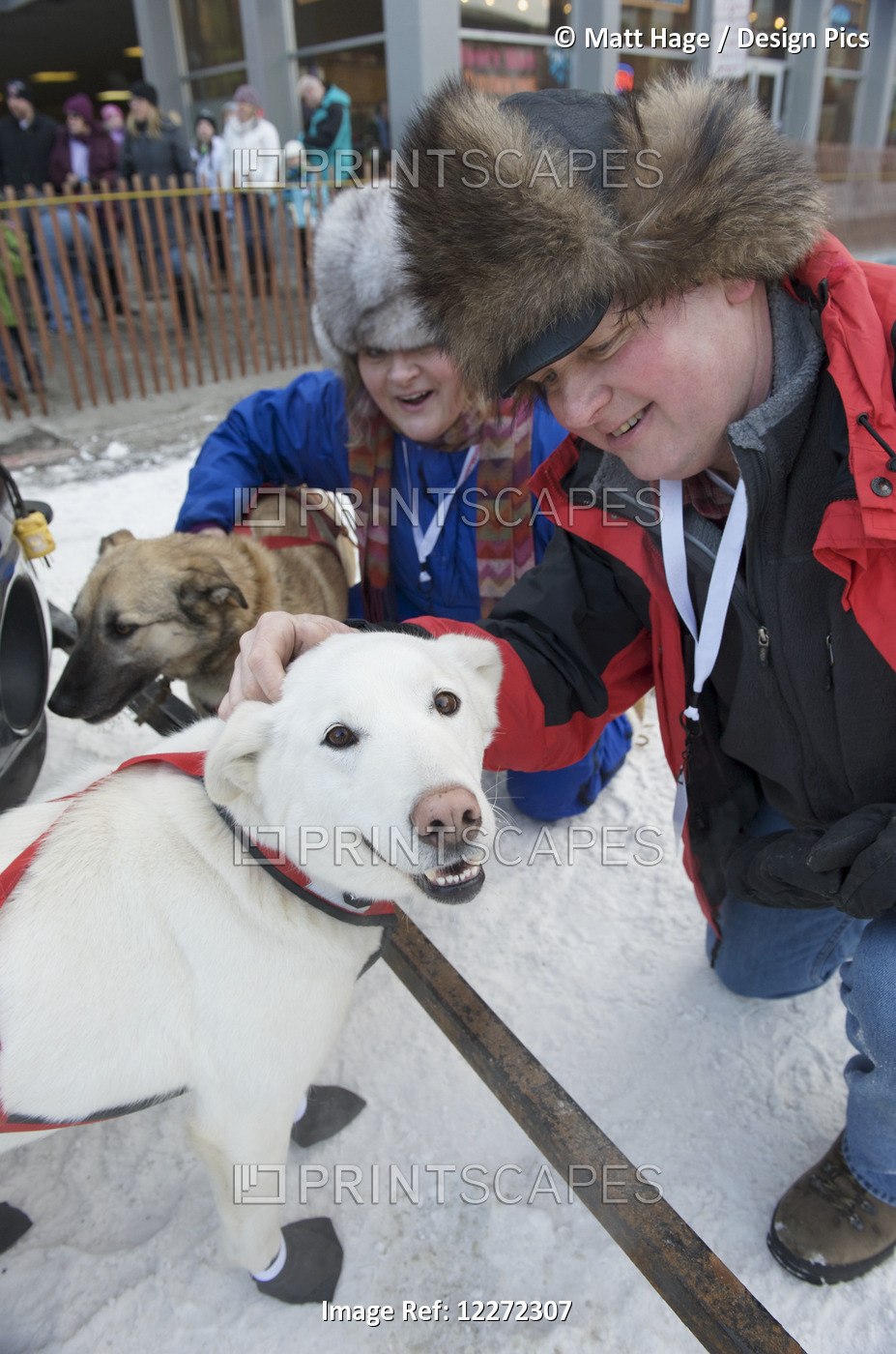 Spectators Meet The Dogs Before The Start Of The 2011 Iditarod Race In Downtown ...
