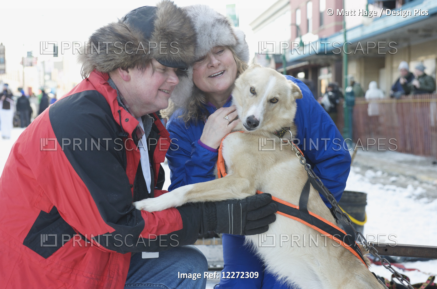 Spectators Meet The Dogs Before The Start Of The 2011 Iditarod Race In Downtown ...