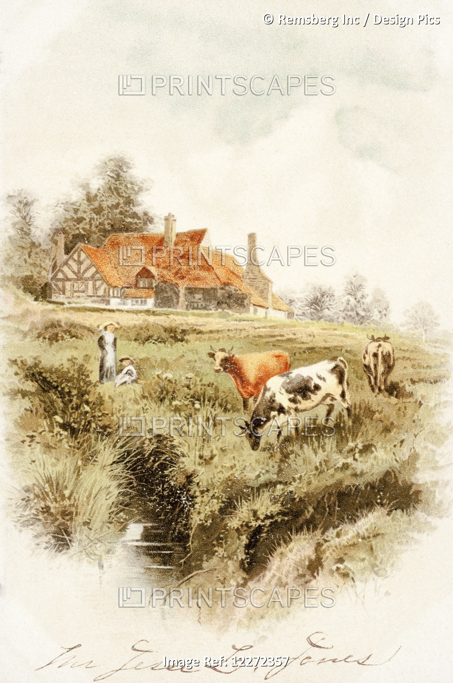Historic Greeting Card With Illustration Of Cows And People On Farm From 19th ...