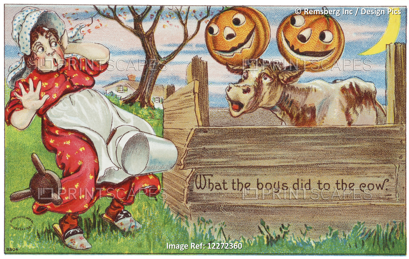 Vintage Halloween Greeting Card With Cow With Jack-O-Lanterns On Horns From ...