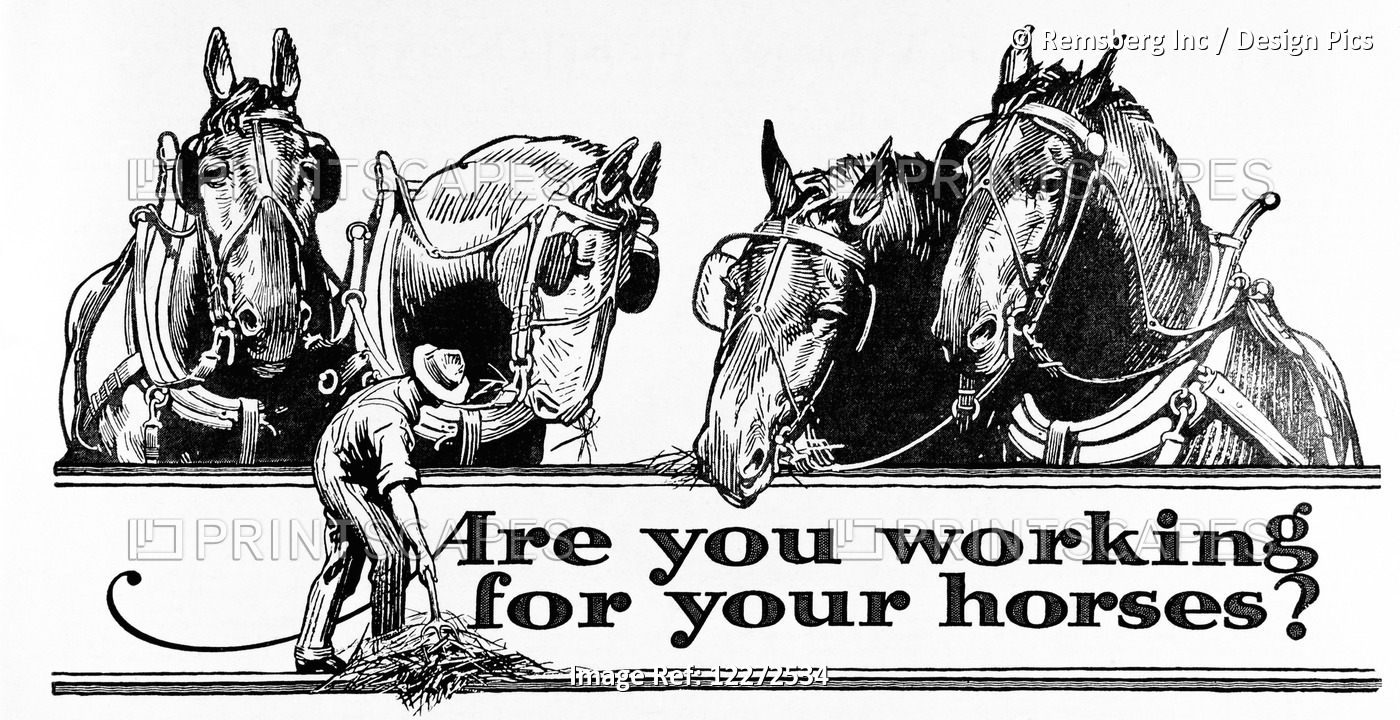 Historic "are You Working For Your Horses?" Advertisement With Illustration Of ...
