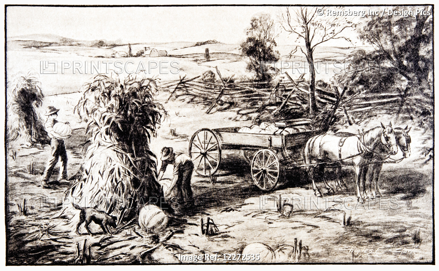 Historic Illustration Of Farmers In Fall Pilling Corn Into Corn Shocks And ...