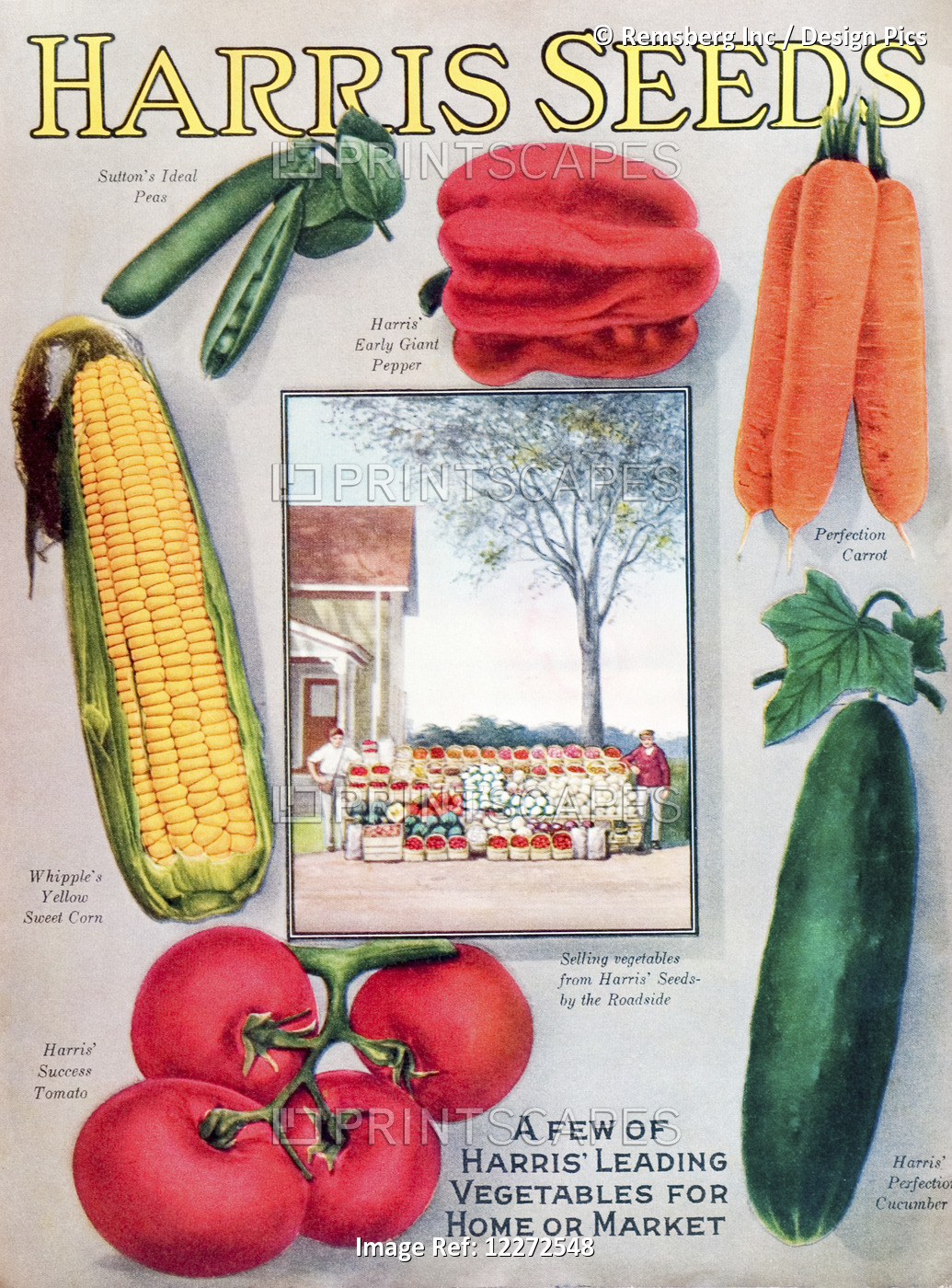 Historic Harris Seeds Catalog With Illustration Of Vegetables From 20th Century.
