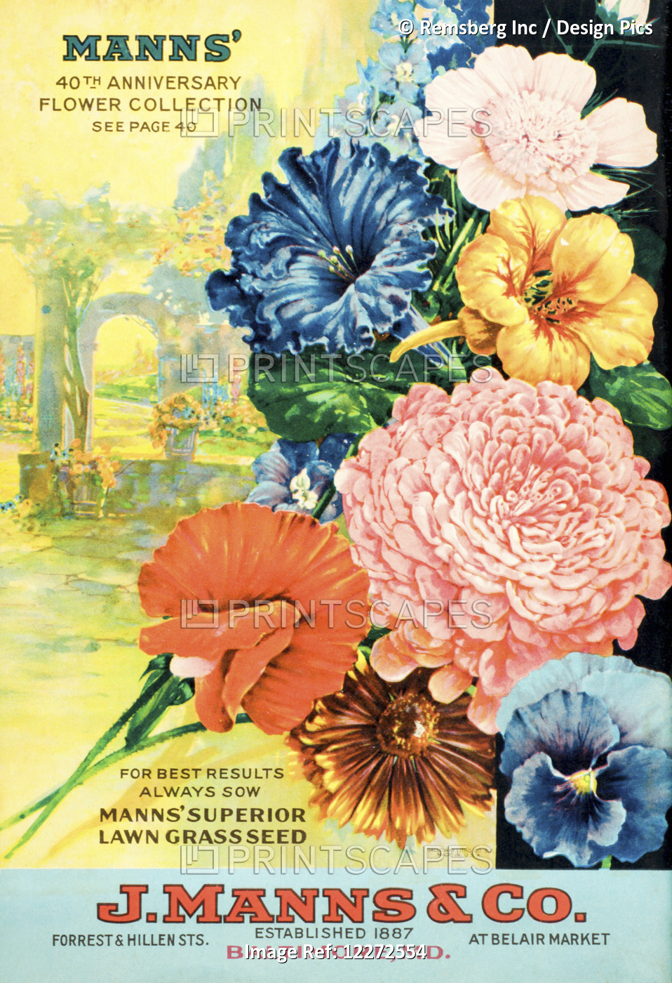 J. Mann's Seed Catalog With Illustration Of Flowers From 20th Century.
