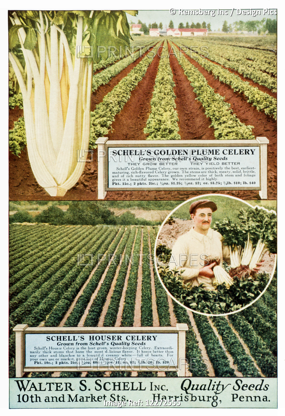 Historic Walter S. Schell Seed Catalog From 20th Century.