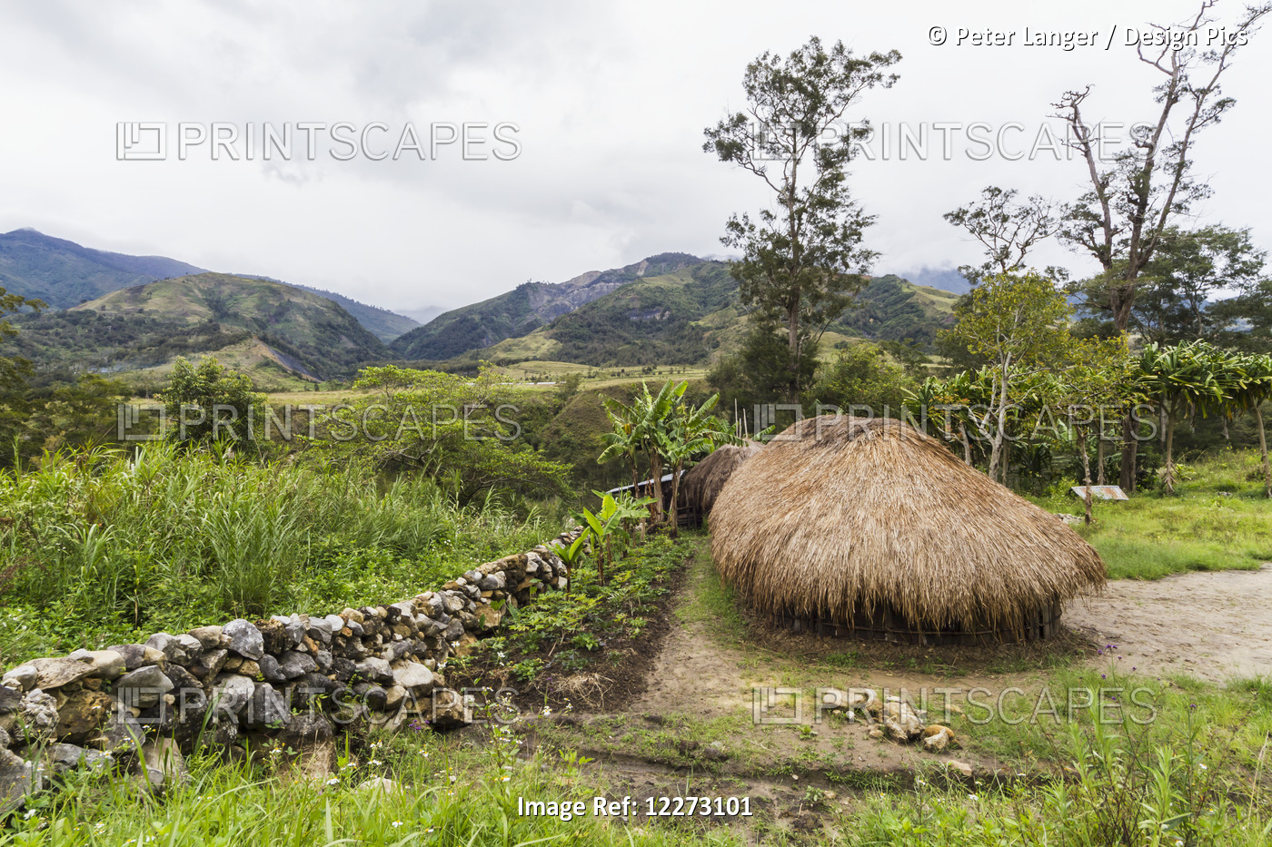Honai (Hut) In The Baliem Valley, Central Highlands Of Western New Guinea, ...