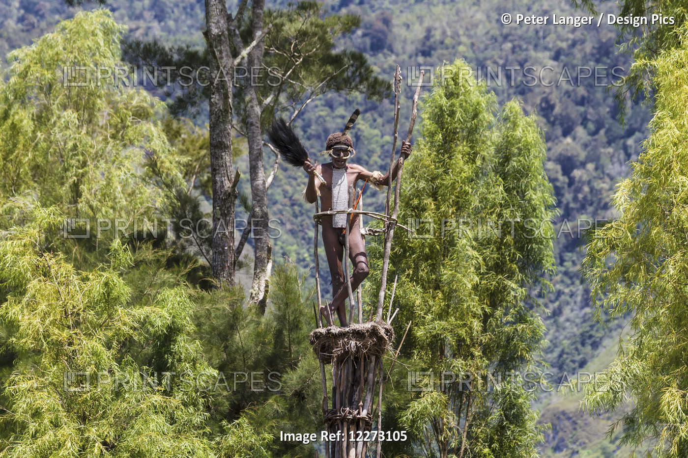 Dani Man Standing On Guard On A Watchtower, Obia Village, Baliem Valley, ...