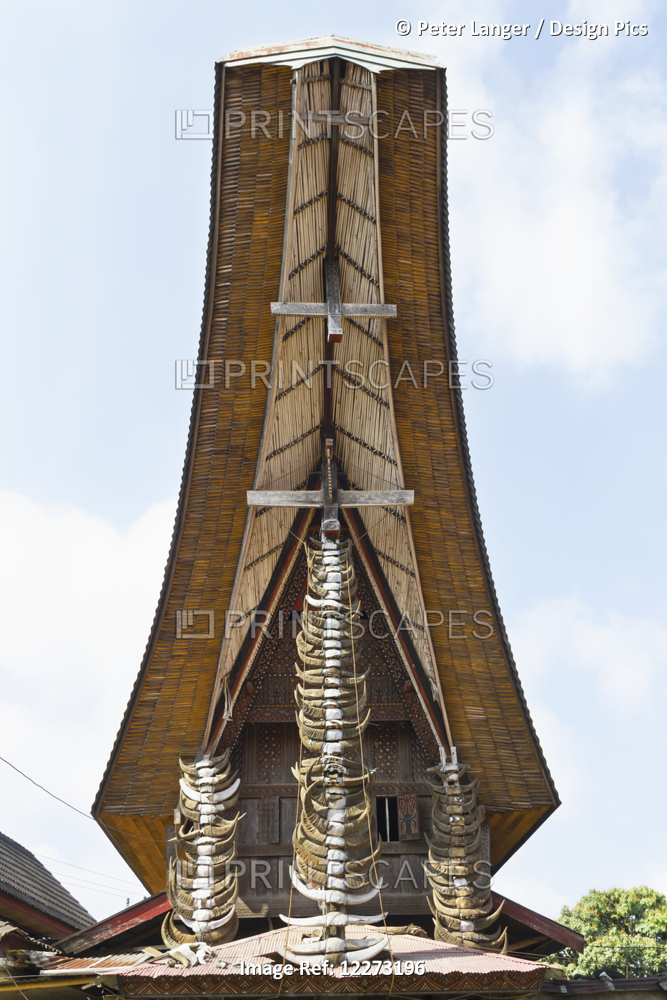 Buffalo Horns Hung In A Vertical Array On The Front Gable Of A Tongkonan, A ...