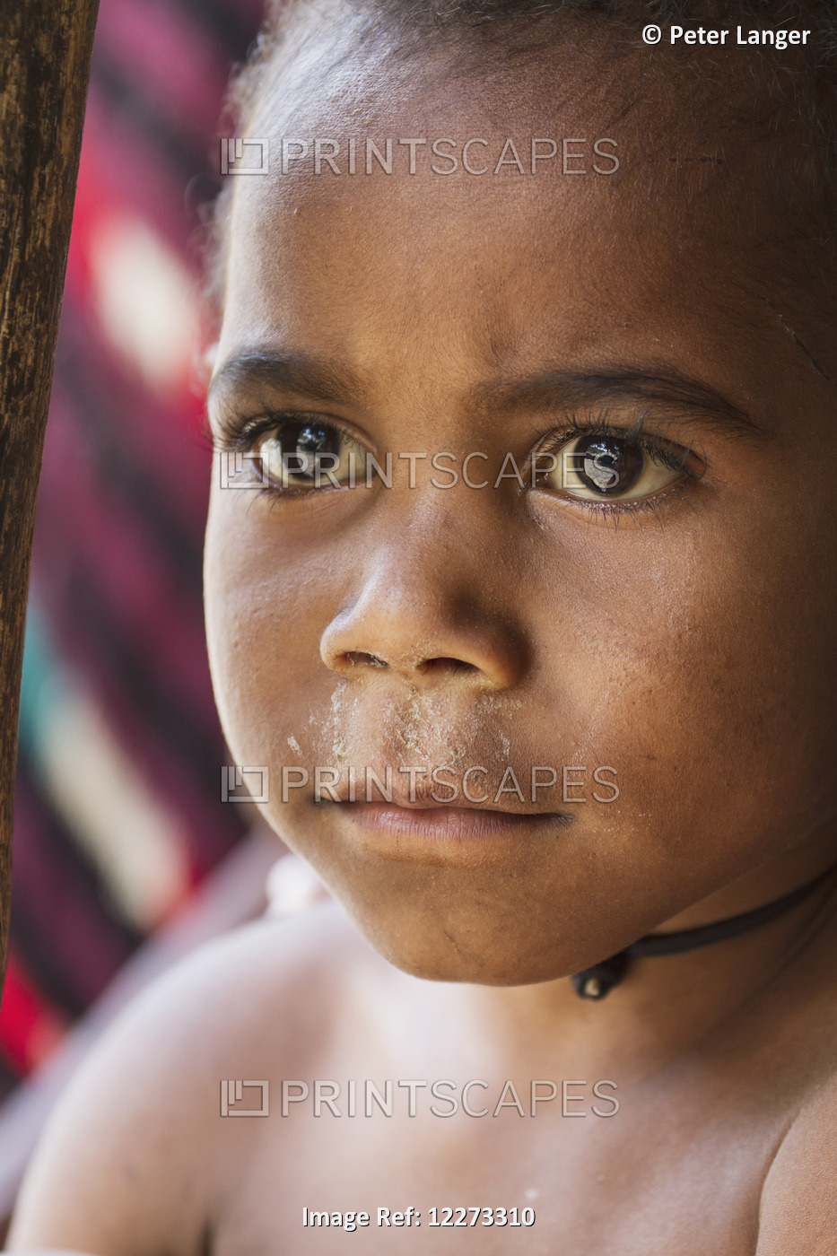 Dani Boy, Obia Village, Baliem Valley, Central Highlands Of Western New Guinea, ...
