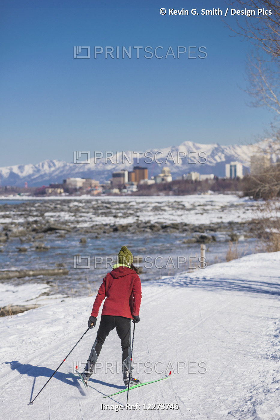 A Young Woman Skate Skiing Down The Tony Knowles Coastal Trail, Anchorage, ...
