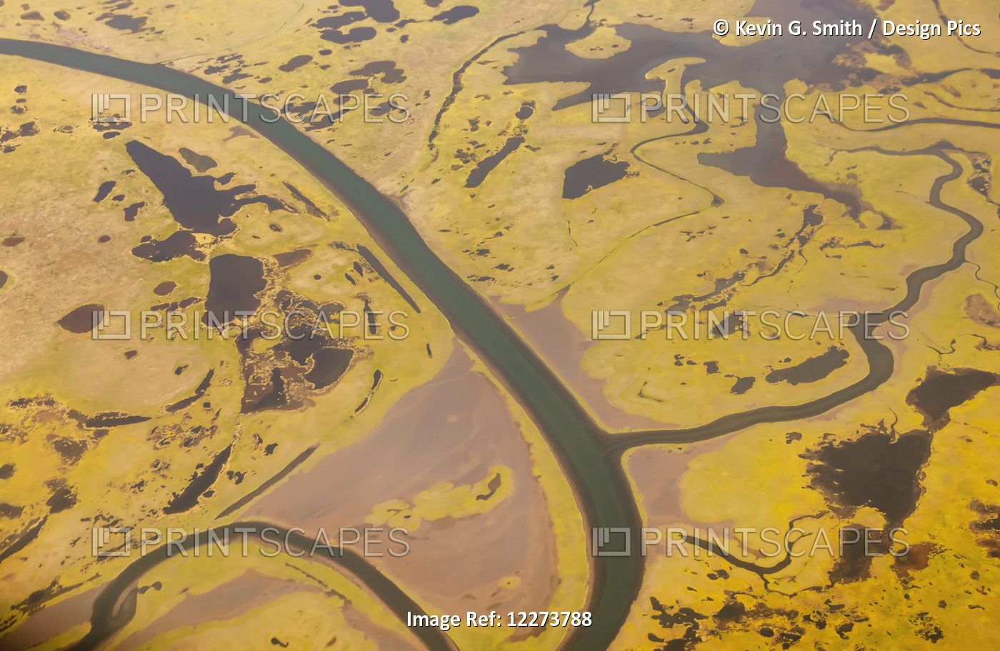Aerial View Of Wetlands And Tundra Along The Noatak River Delta; Noatak, ...