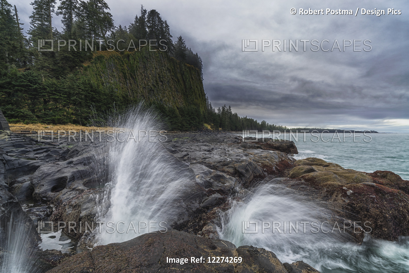 Water Explodes Through The Blow Hole Near Tow Hill On The North Shore Of Haida ...