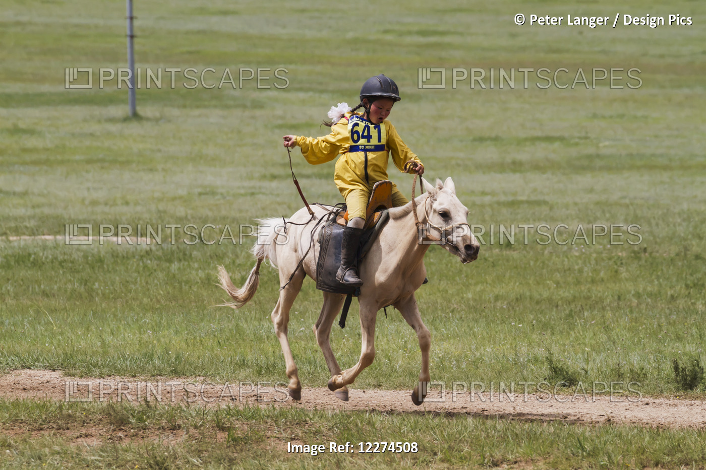 Boy Racing A Horse In The Daaga (Two-Year Old) Horse Race Held During The 2014 ...