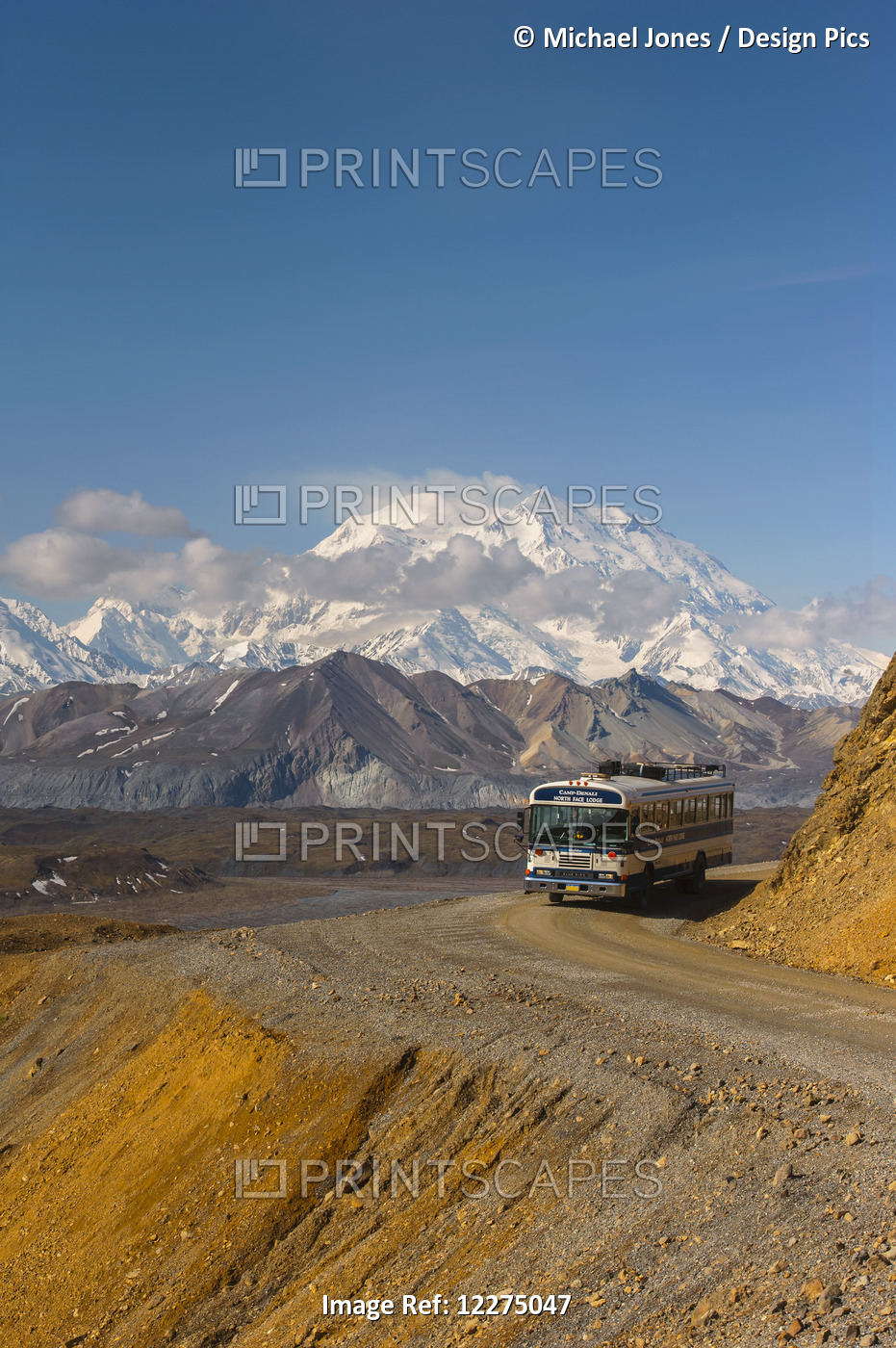 Park Bus Rounding A Corner On The Park Road With Mt. Mckinley Towering In The ...