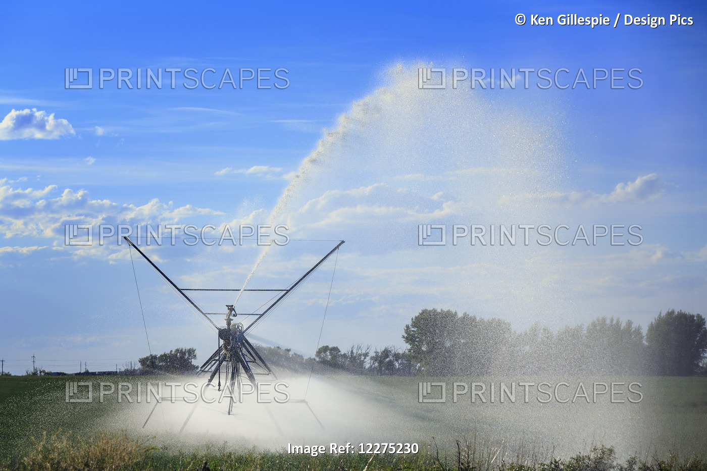 Center Pivot Irrigation Spraying Water, Near Lethbridge; Alberta, Canada
