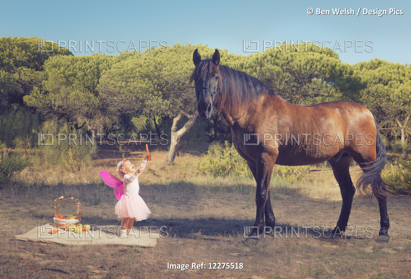 Young Girl With Pink Ferry Wings And A Brown Horse; Tarifa, Cadiz, Andalusia, ...