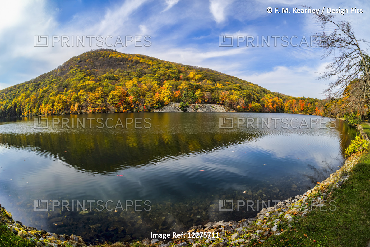 Autumn Foliage At Hessian Lake, Bear Mountain State Park; Bear Mountain, New ...