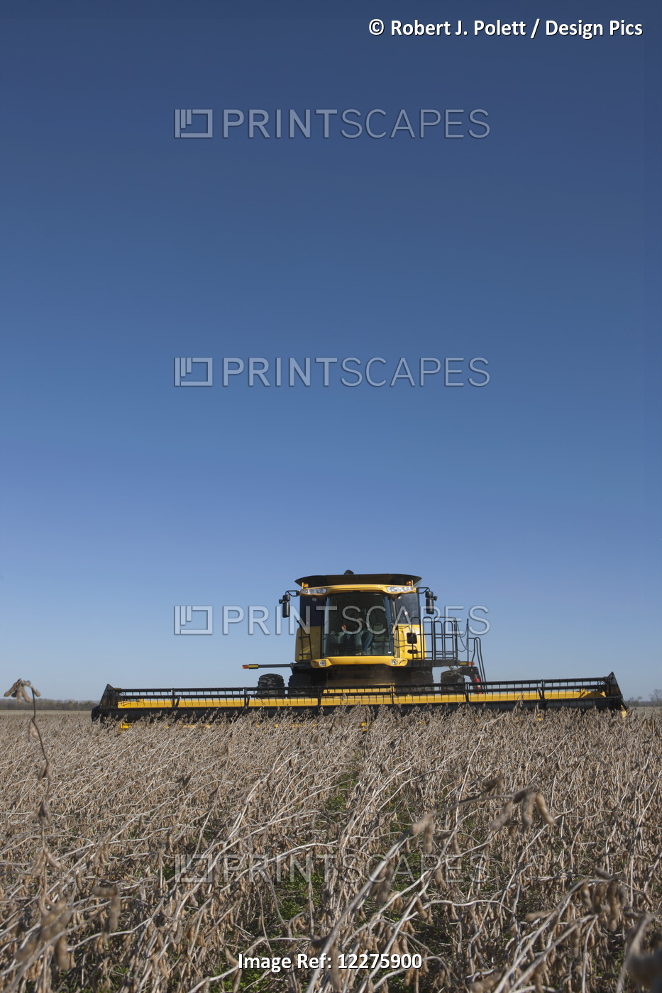 New Holland Cr9060 Combine Harvesting Soybeans; Dyersville, Tennessee, United ...