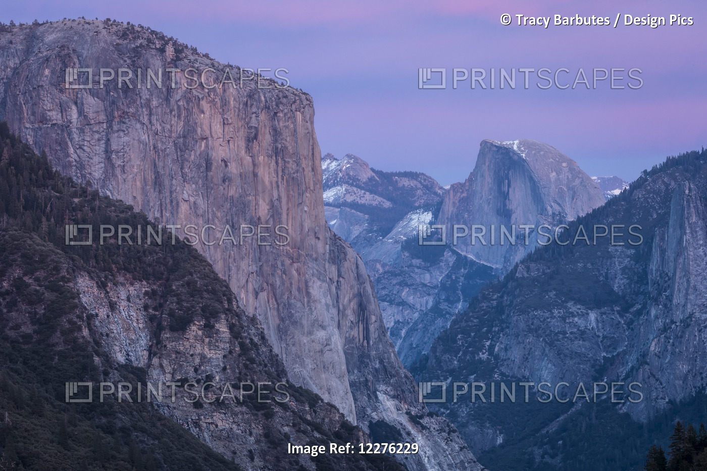 Shades Of Pink And Lavender Are Reflected On El Capitan, Half Dome And Winter ...
