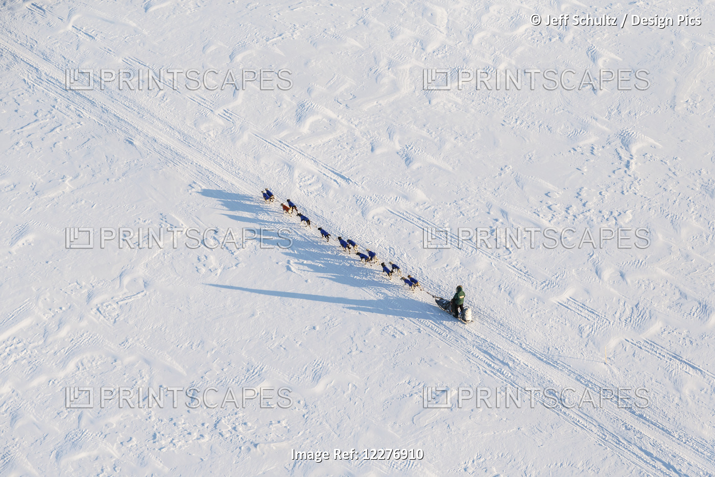 Aerial View Of A Dog Team On The Yukon River And Nearing Galena During Iditarod ...