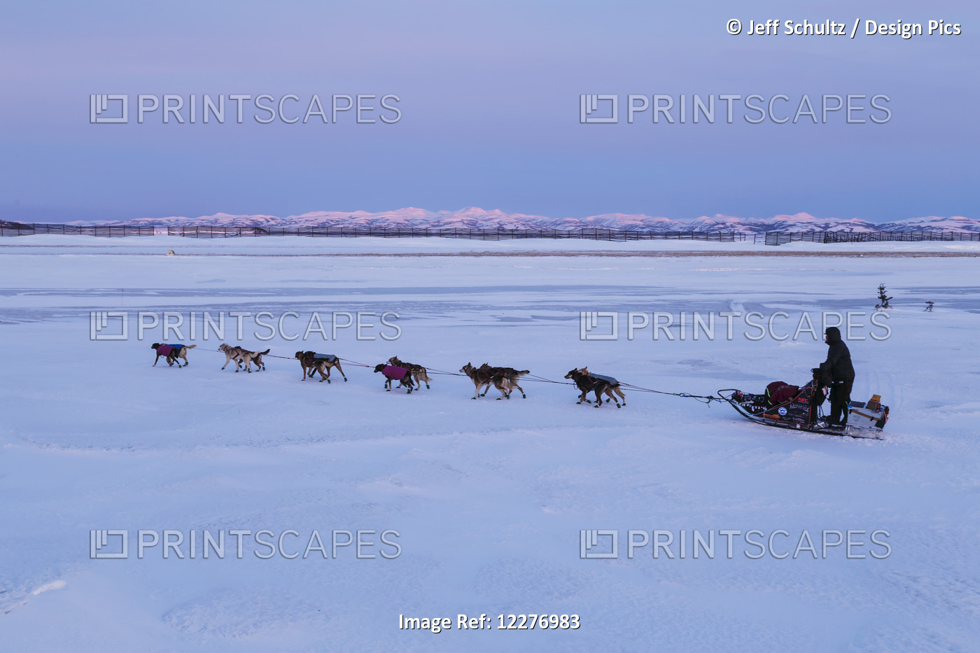 Aaron Burmeister Runs On The Slough Leaving The Unalakleet Checkpoint At Sunset ...