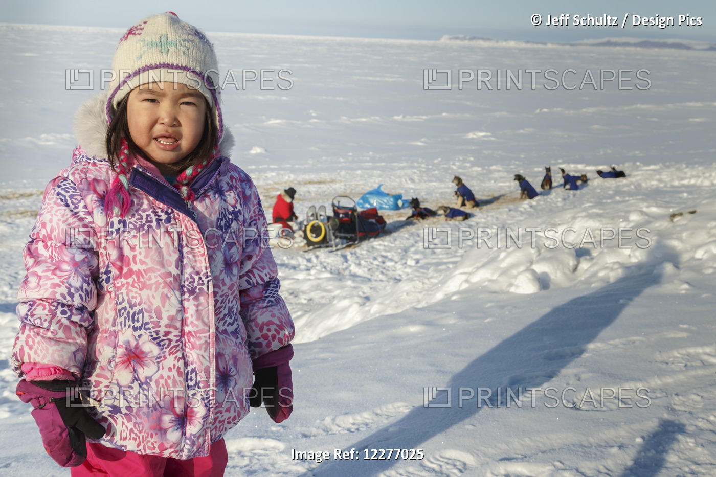 Young Native Alaskan Girl Watches The Teams Rest At The Shaktoolik Checkpoint ...