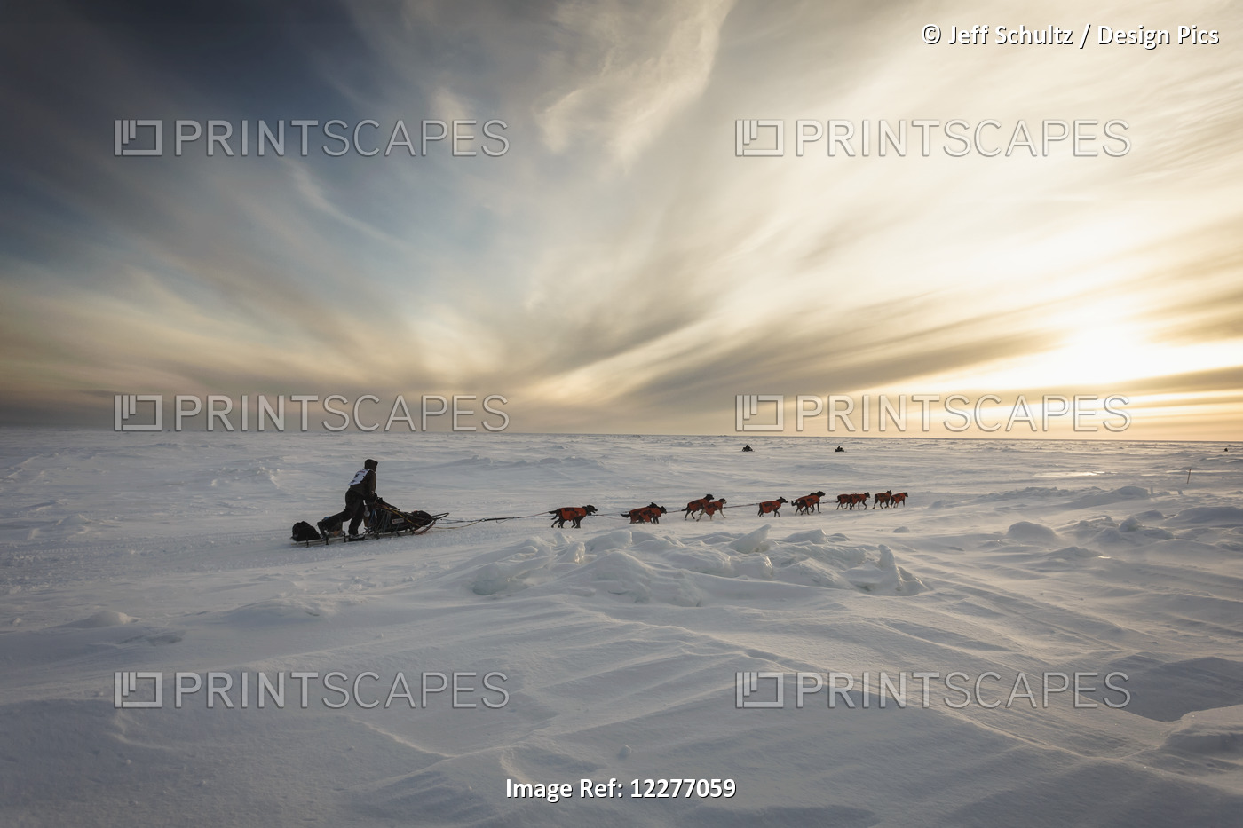 Ken Anderson Several Miles From The Nome Finish Line Near Sunset During ...