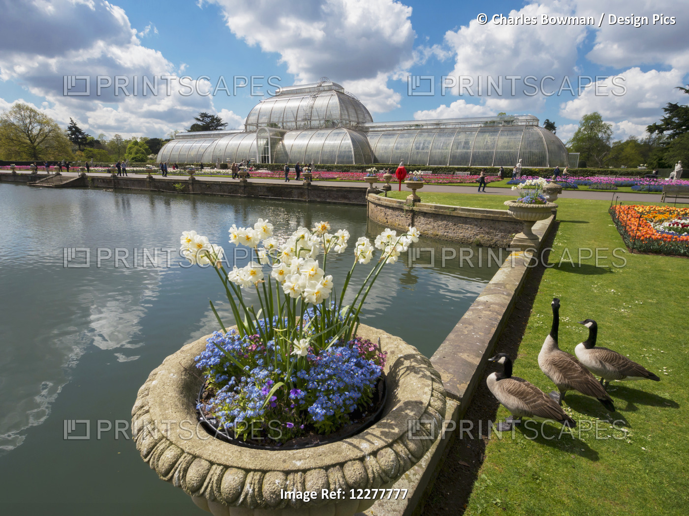 Kew Gardens, Palm House And Tulips; London, England