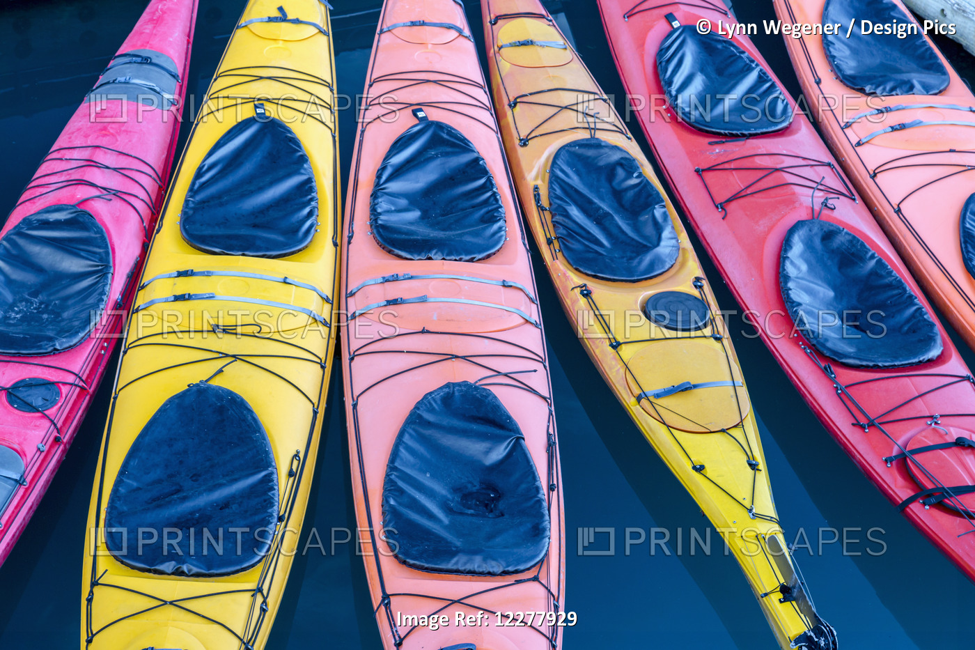 View Of Colorful Kayaks Tied To The Harbor Dock In Valdez, Southcentral Alaska, ...