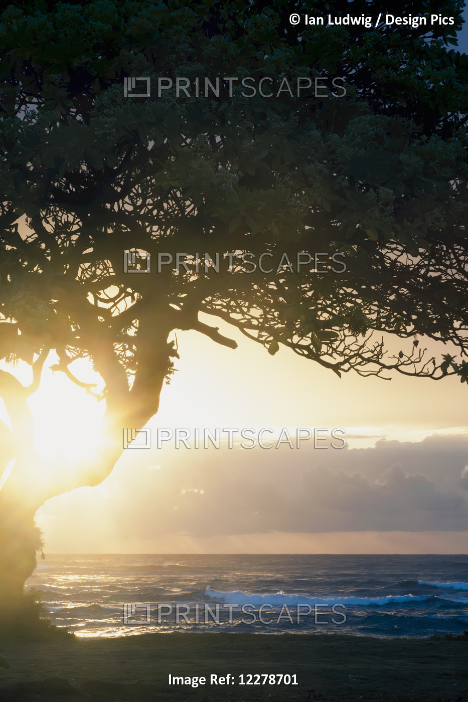 Sunrise Seen From Lydgate Beach Park; Lydgate, Kauai, Hawaii, United States Of ...